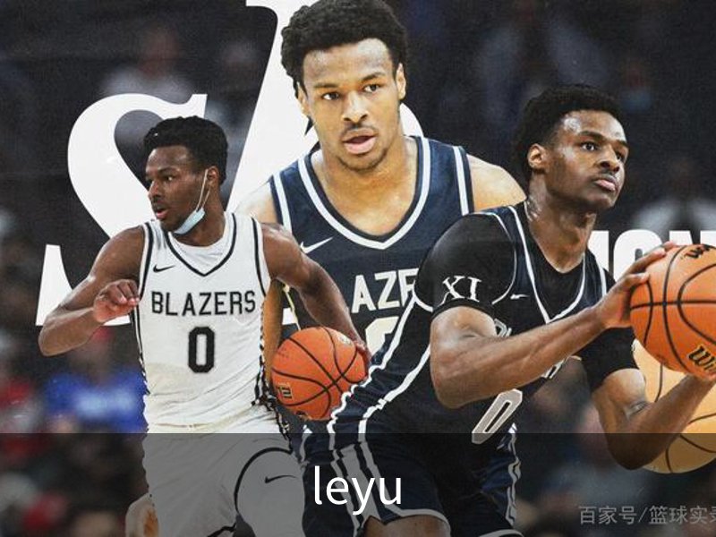 leyu简介